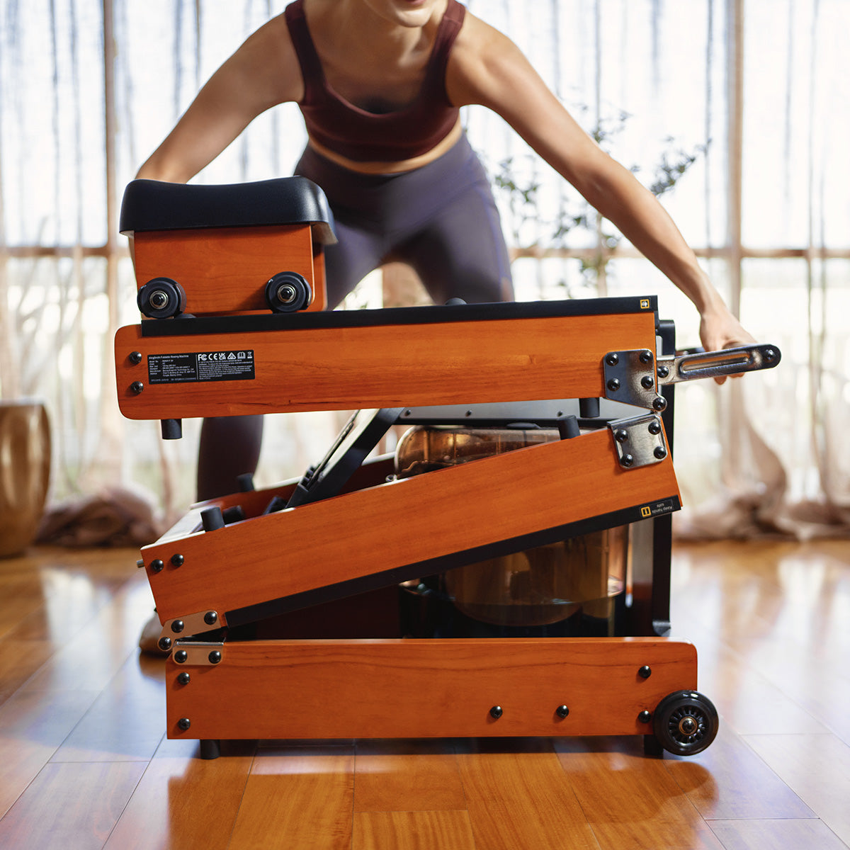 WalkingPad WR1 Foldable Water Rowing Machine WalkingPad WR1 Foldable Water Rowing Machine