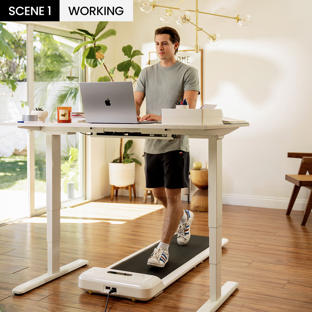 WalkingPad C2 Foldable Walking Treadmill WalkingPad C2 Foldable Walking Treadmill