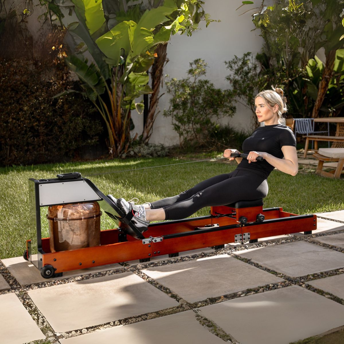 WalkingPad WM10 Tri-fold Water Rowing Machine WalkingPad WM10 Tri-fold Water Rowing Machine