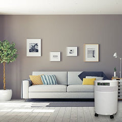 Airpura V-Series Air Purifiers for Asbestos, Ammonia, Nitrogen Oxide and More - V600 and V700