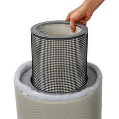 Airpura G-Series Air Purifiers for Odor-Free Carbon for Chemically Sensitive (MCS) - G600 and G700