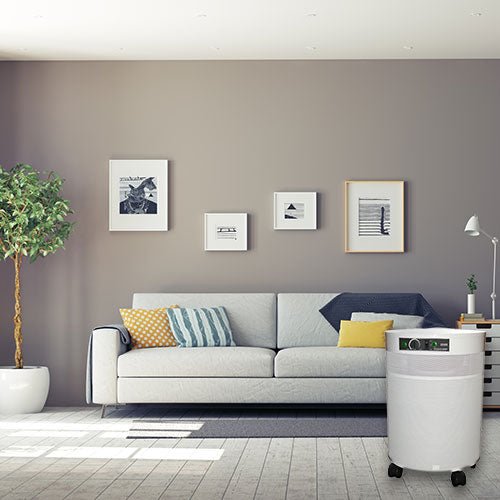 Airpura V-Series Air Purifiers for Asbestos, Ammonia, Nitrogen Oxide and More - V600 and V700