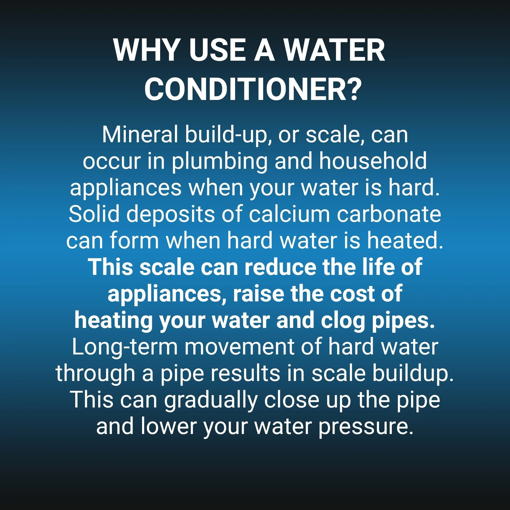 RKIN CBS PPH Salt-Free Anti-Scale Whole House System