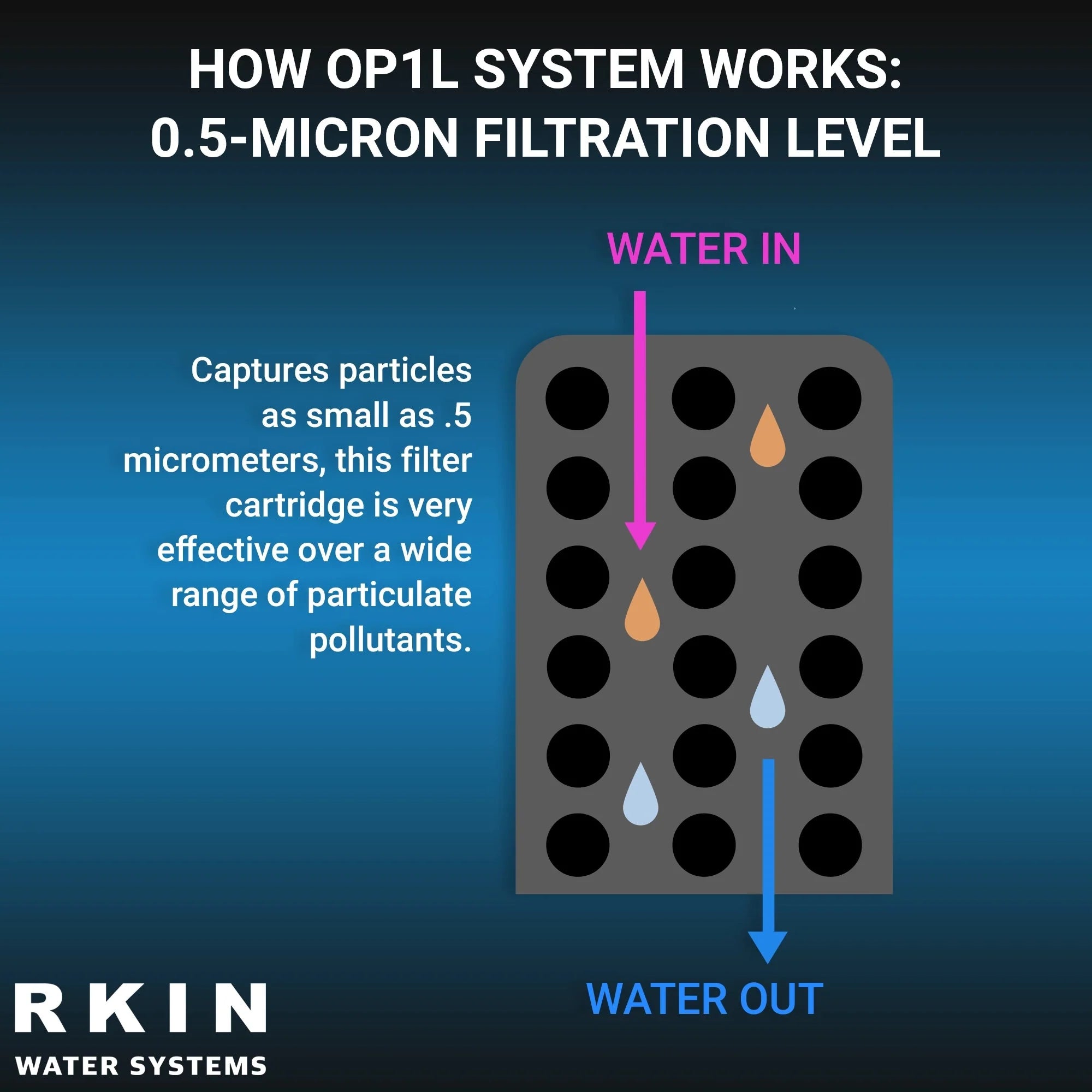 RKIN OP1L Certified Whole House Lead, Cyst, PFOA, and PFOS Water Filter System